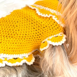 Crochet Dog Sweater Dress Pattern for Small Breed Dogs