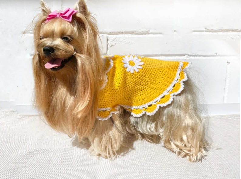 CROCHET Dog Dress Pattern, Small Pet Clothes Crochet Pattern for Yorkie, Shih Tzu, Pomeranian Dog Sweater Crochet Pattern PDF File image 2