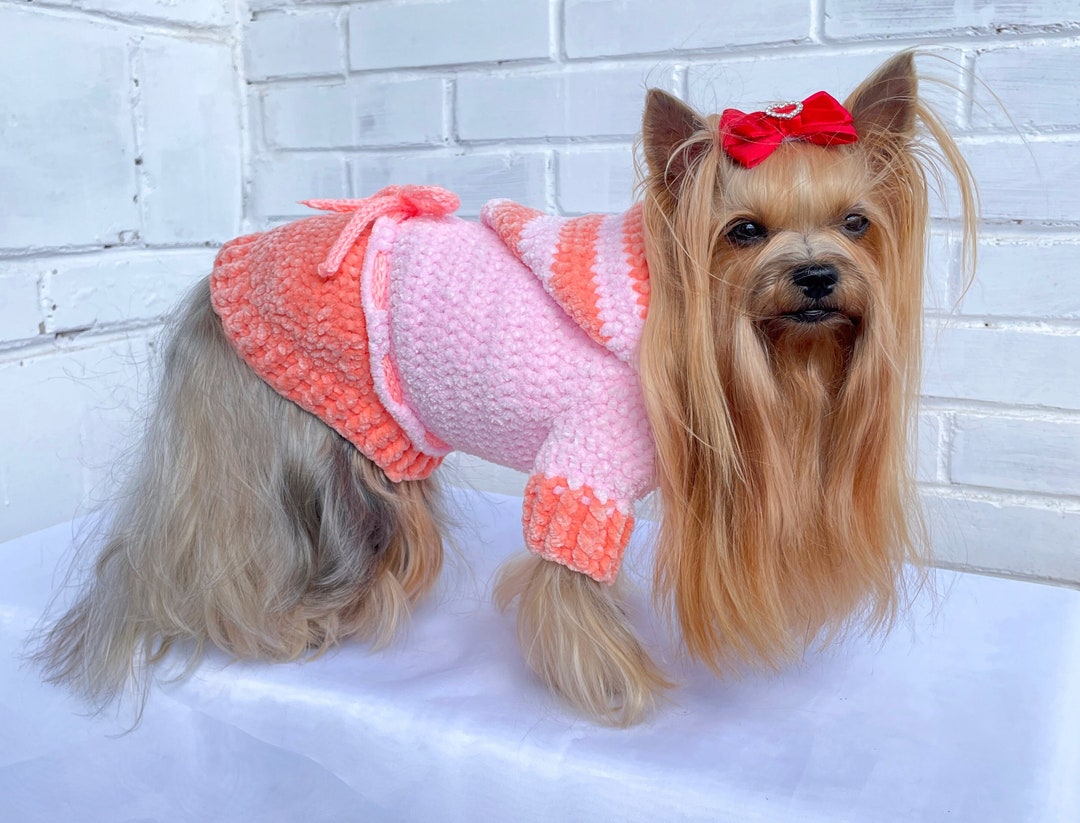 Crochet Pattern Dog Sweater With Hoodie Small Pet Clothes Etsy