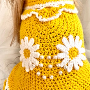 Crochet Dog Sweater Dress Pattern for Small Breed Dogs