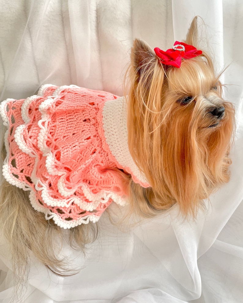 Crochet PATTERN Amigurumi DOG DRESS Dog Bandana Pattern Etsy UK