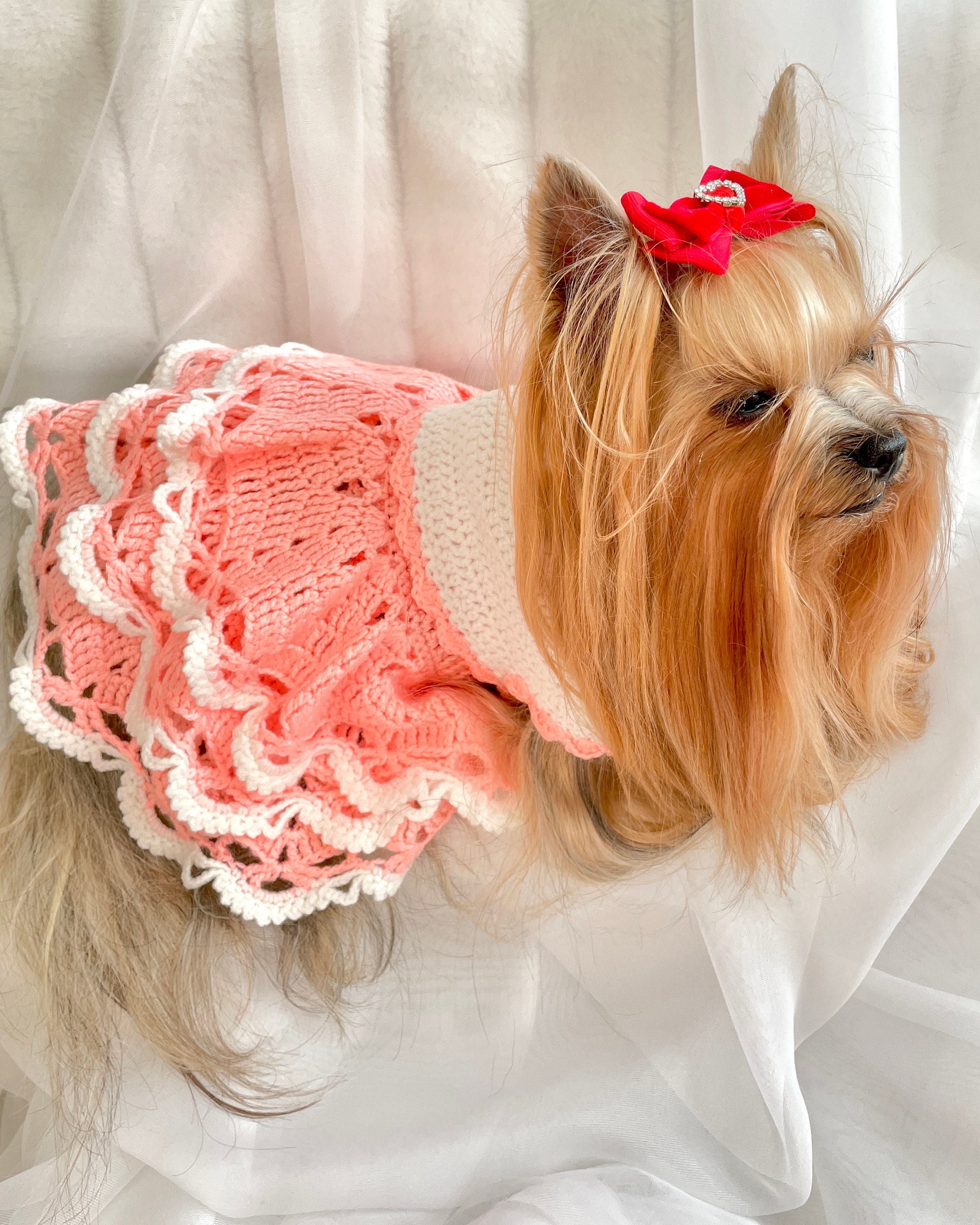 Designer Dog Clothes 