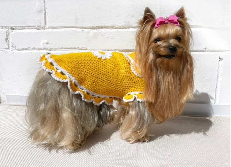 CROCHET Dog Dress Pattern, Small Pet Clothes Crochet Pattern for Yorkie, Shih Tzu, Pomeranian Dog Sweater Crochet Pattern PDF File image 3