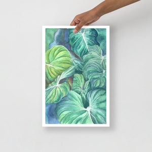 Elephant Ear Acquerello - Originale