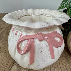 Set of 2 Ceramic Pink Bow Money Bag Planter with Insert