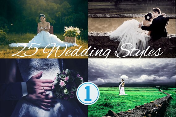 25 Capture One Styles Wedding Styles Presets Color Etsy