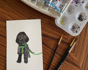 Labradoodle (Sold)