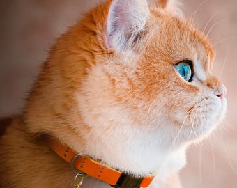 Personalized Leather Cat Collar, Adjustable Cat Collar with Bell, Safety Outdoor Cat Collar with Breakaway Buckle & Engraved ID Tag