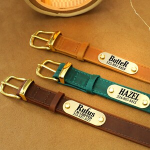 Può includere: Tre collari personalizzati per cani in pelle marrone, verde acqua e marrone scuro, ciascuno con una fibbia dorata e una targhetta dorata. Le targhette mostrano i nomi "Butter", "Hazel" e "Rufus" insieme ai numeri di telefono.