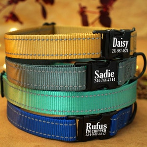 Petsafe dog collar - Etsy sterreich