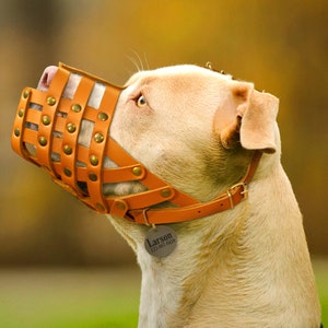 Personalized Pitbull Dog Muzzle Leather Dog Muzzle for Pitbull