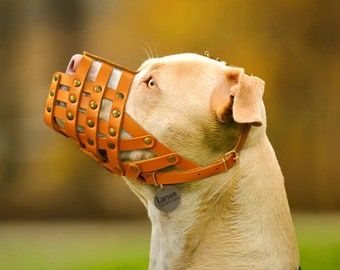 Bozal de cuero personalizado para pitbull: bozal transpirable tipo cesta