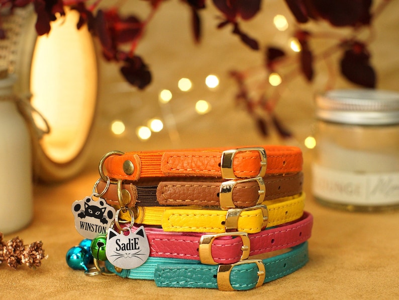 May include: A stack of five colourful leather cat collars with gold buckles. The collars are in shades of orange, brown, yellow, pink, and teal. The top collar has a silver cat paw charm with the name "Winston" engraved on it. The second collar has a silver cat head charm with the name "Sadie" engraved on it. The collars are accented with silver bells.