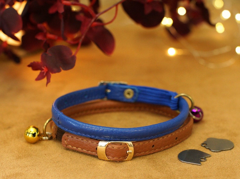 May include: A blue and brown leather cat collar with a gold buckle and two bells. The collar is on a brown surface.
