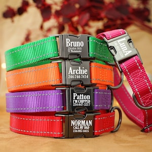 Personalized Dog Collar Engraved Buckle - Night Safety Dog Collars for Small Medium Large Dogs - Reflective Dog Collar - Custom Dog Collar