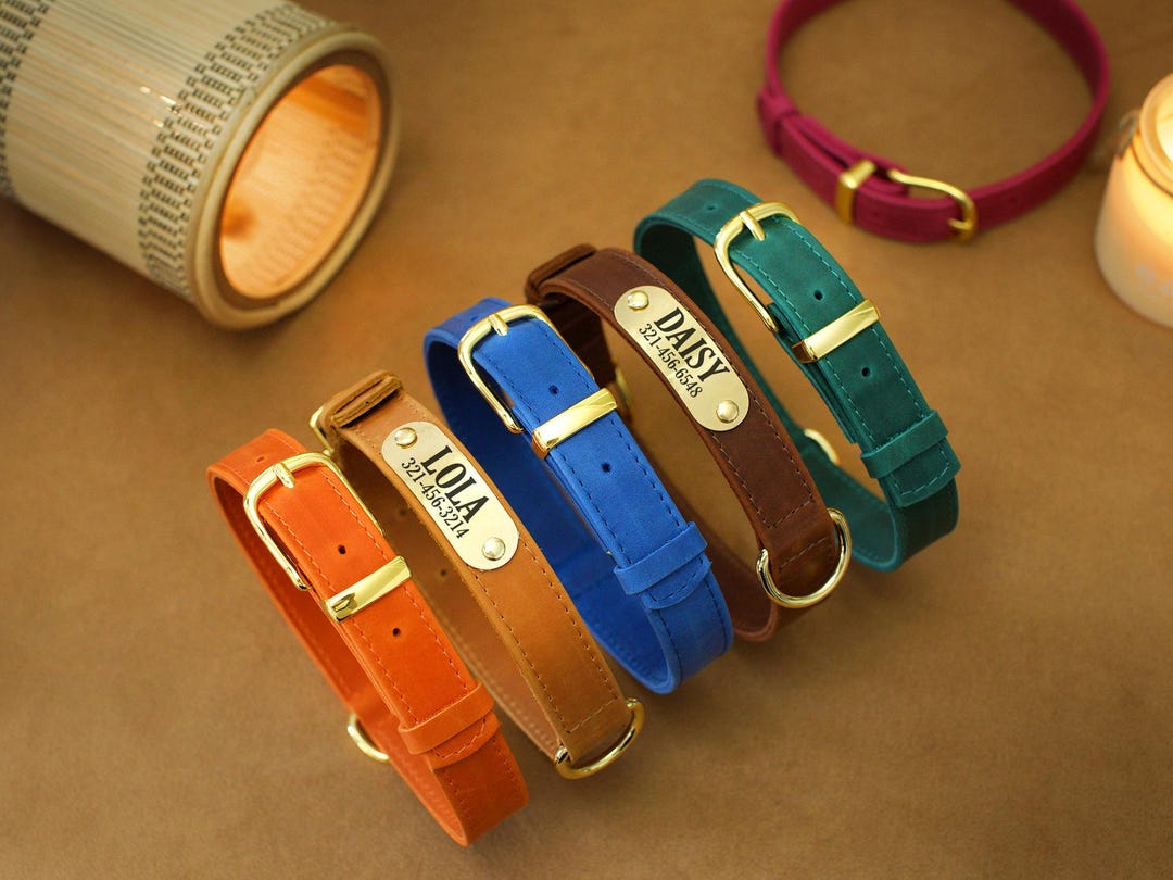 Handmade Leather Dog Collar: Engraved Brass Nameplate, Personalized ...