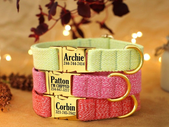 Collare Cane Personalizzato | Con Nome E Telefono | Riflettente, Nylon | Per Taglie Piccole, Medie, Grandi - Foto 2