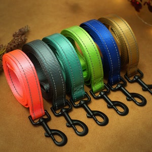 Può includere: Sei guinzagli per cani colorati con cuciture riflettenti e moschettoni in metallo nero. I guinzagli sono disposti a semicerchio con i moschettoni rivolti verso l'esterno.