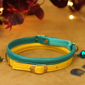 May include: A yellow and teal leather cat collar with a silver buckle and two silver bells.