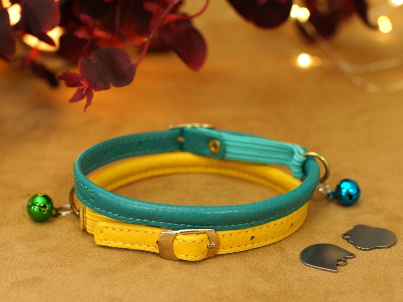 May include: A yellow and teal leather cat collar with a silver buckle and two silver bells.