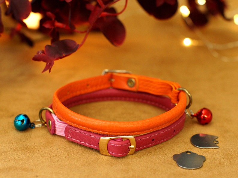 May include: A pink and orange leather cat collar with a gold buckle and two metal bells. The collar is on a brown surface with two metal tags.