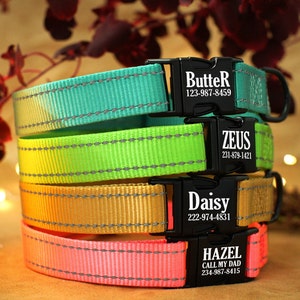 May include: Four colorful dog collars with personalized name tags and phone numbers. The collars are stacked on top of each other, with the top collar being turquoise, followed by green, gold, and pink. The name tags are black with white text. The collars are made of a reflective material.