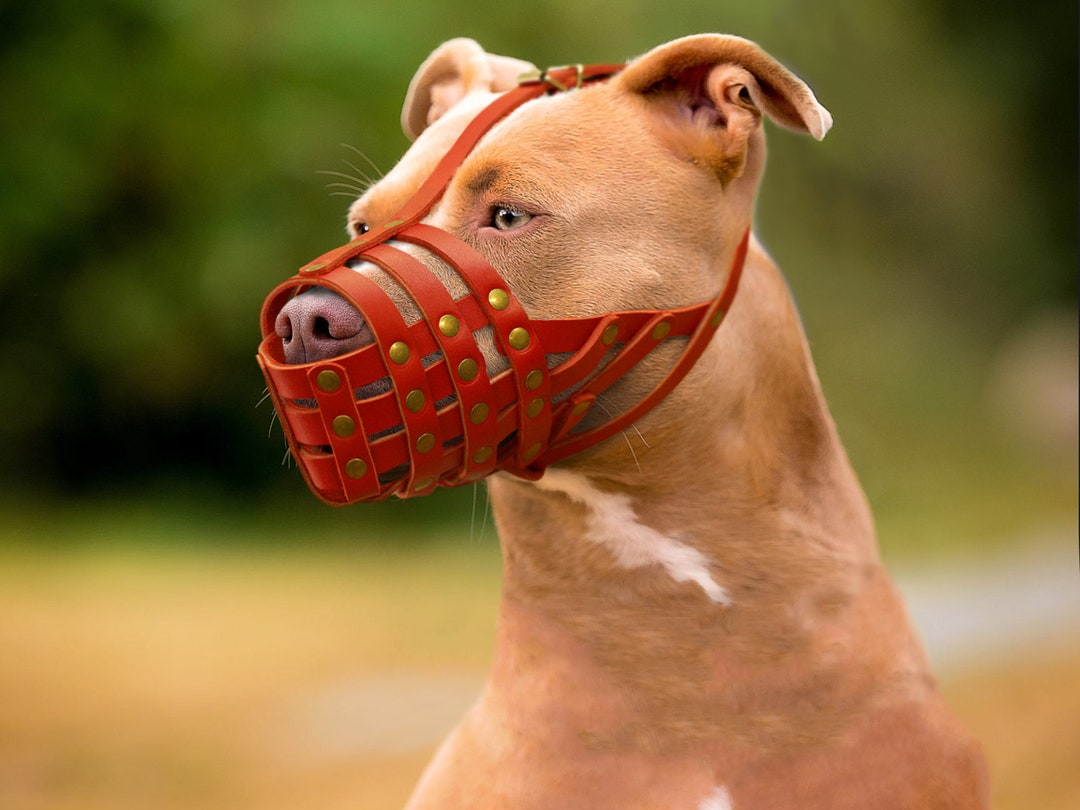Pitbull Dog Muzzle With Adjustable Straps, Personalized Leather Dog Muzzle for Pit Bull