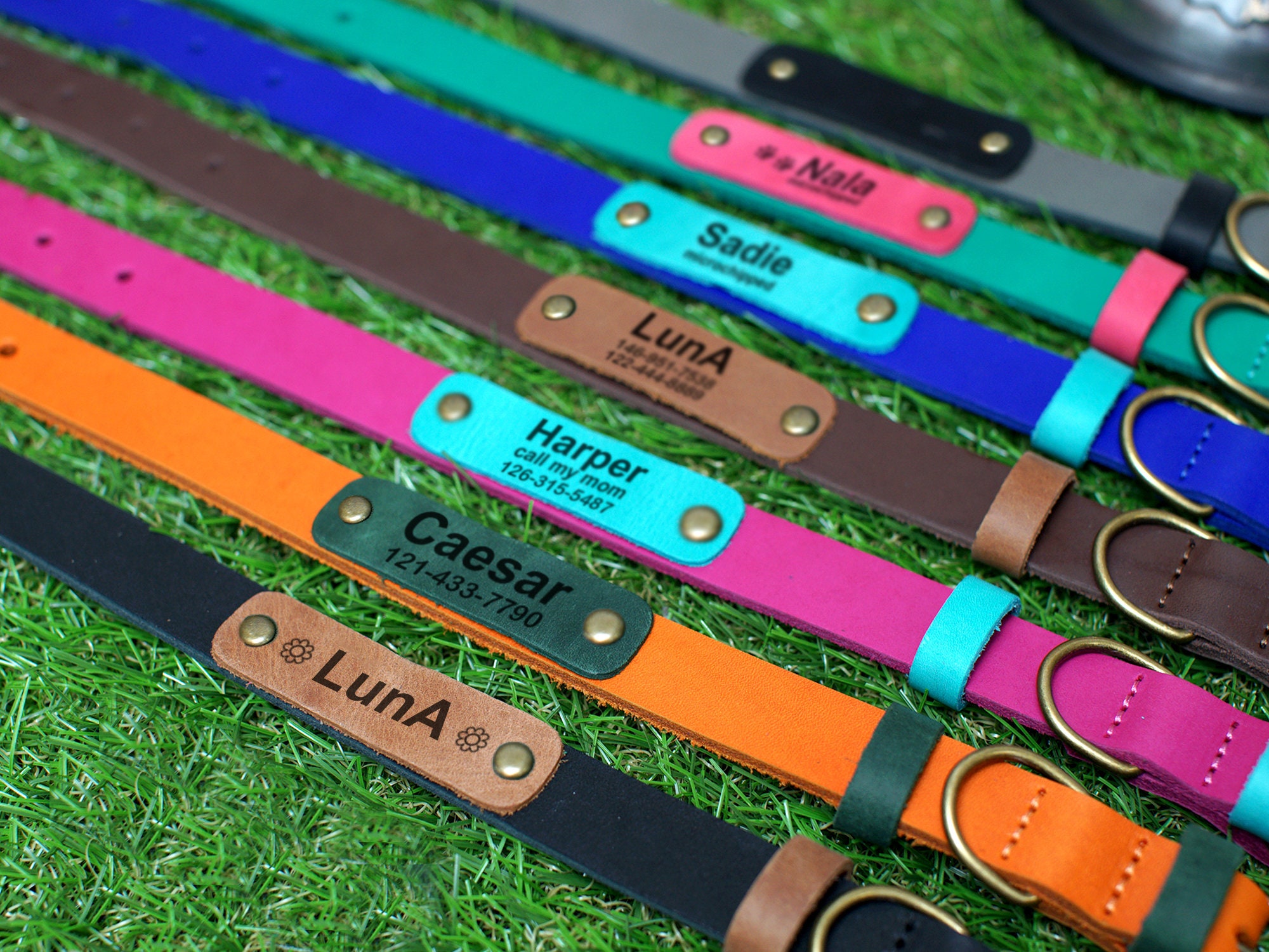 Dog Collar Leather Personalized Dog Collar Engraved Dog Etsy