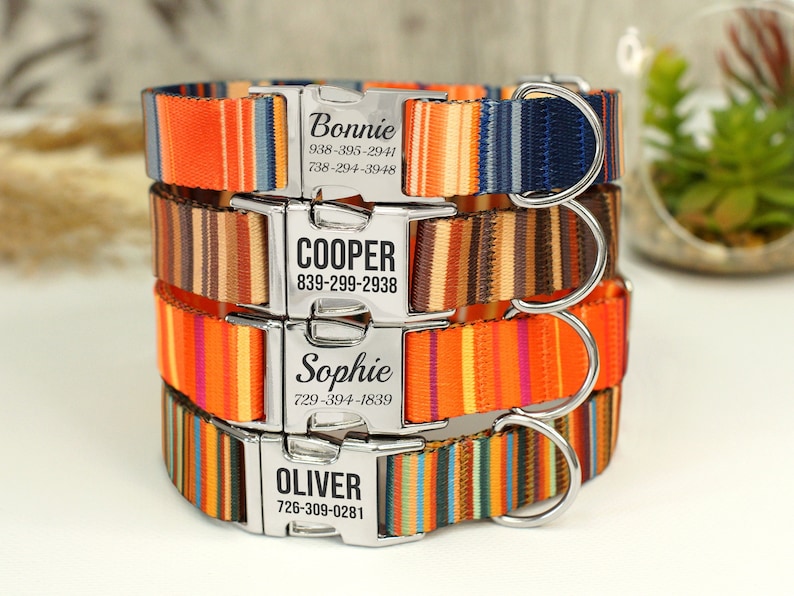 Striped Dog Collar with Engraved Metal Buckle, Custom Pet Collars for Small Medium Large Dogs Puppy, Personalized Dog Collar, Boy Dog Collar image 1