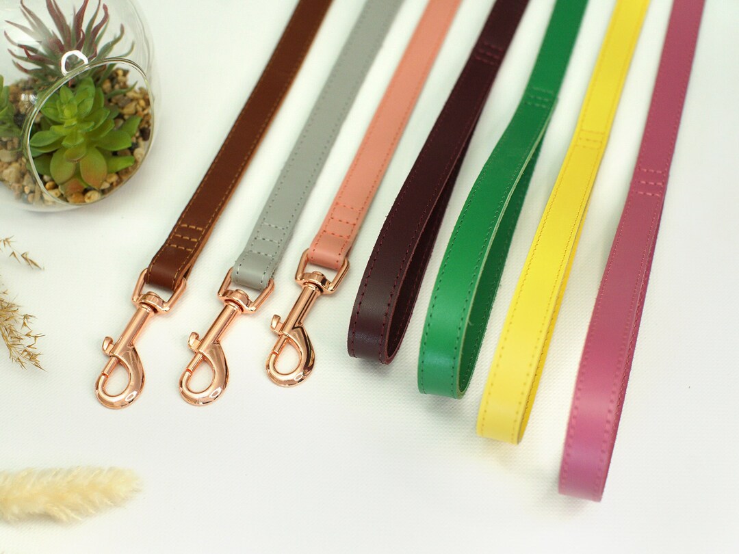 Personalized Dog Leash, Leather Dog Leash, Girl Dog Leash, Custom Pet