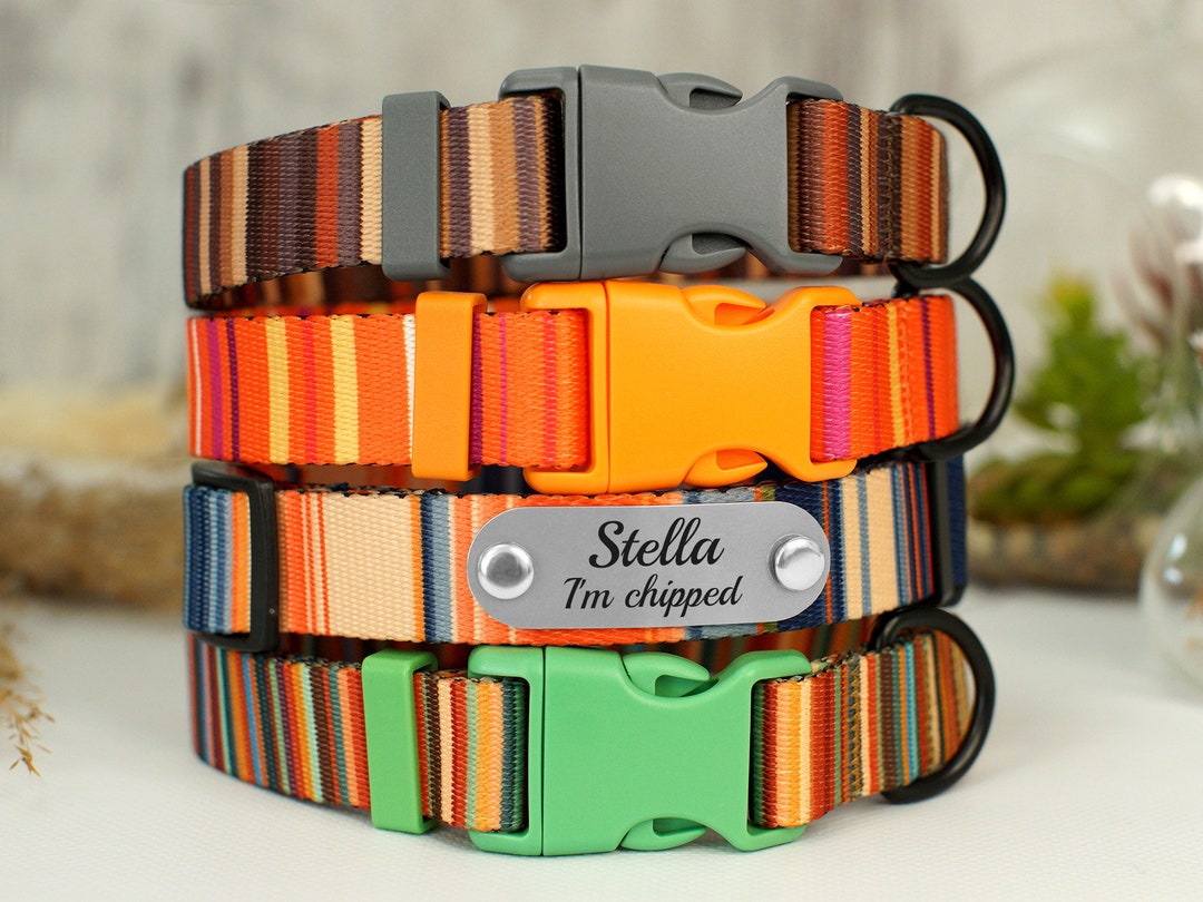 Striped Dog Collar With Name, Personalized Collars for Small Medium