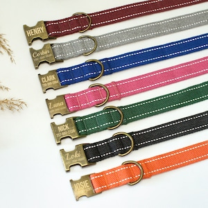 Puede incluir: Siete collares para perros personalizados con etiquetas de latón. Los collares son de varios colores, incluyendo burdeos, gris, azul, rosa, verde, negro y naranja. Cada etiqueta tiene un nombre y un número de teléfono grabados.
