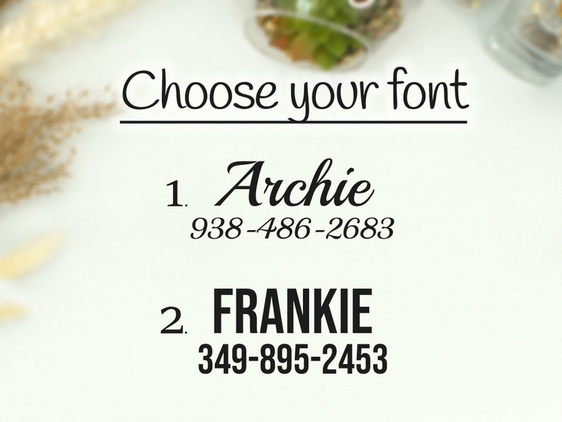 Puede incluir: Elige tu fuente para un dise&ntilde;o personalizado. Opci&oacute;n 1: Archie 938-486-2683. Opci&oacute;n 2: FRANKIE 349-895-2453.