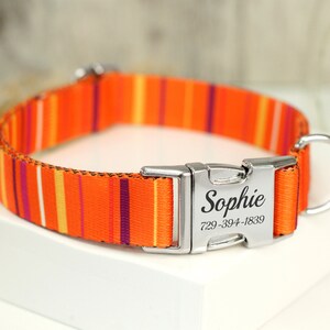 Striped Dog Collar with Engraved Metal Buckle, Custom Pet Collars for Small Medium Large Dogs Puppy, Personalized Dog Collar, Boy Dog Collar Orange