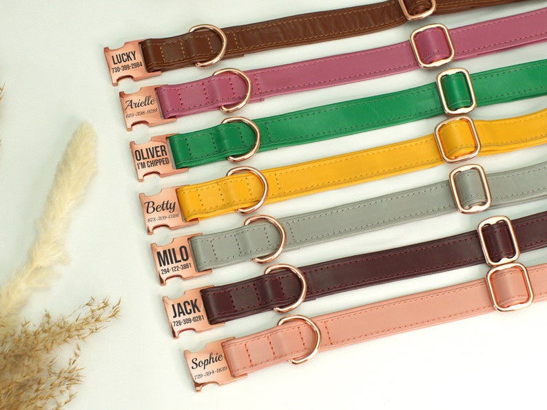 Puede incluir: Siete collares de perro de cuero de colores con etiquetas de metal personalizadas. Cada etiqueta tiene un nombre y un n&uacute;mero de tel&eacute;fono. Los collares est&aacute;n dispuestos en una fila de arriba a abajo, con el collar marr&oacute;n en la parte superior y el collar rosa en la parte inferior.