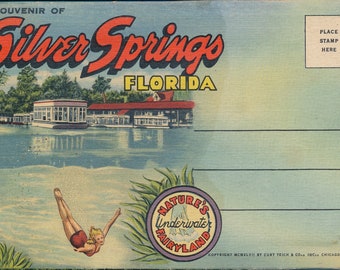 Vintage Souvenir von Silver Springs, Florida 20 Postkartengröße Fotos 1940er Jahre