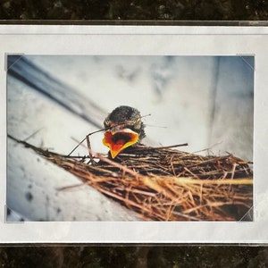 Ensemble de 4 cartes pour photographies originales - Les 4 saisons du Vermont