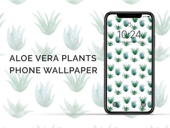 Aloe Vera Plant Iphone and Android Device Wallpaper - Etsy Aloe Vera Plant Iphone and Android Device Wallpaper - Etsy