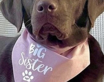 Big Sister dog bandanas, Pregnancy Announcement,New Baby, Gender Reveal.