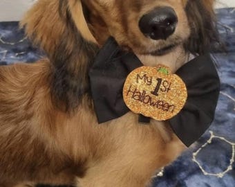 My 1st Halloween Dog Bow