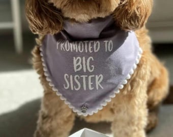 Promoted to Big Sister dog bandana, dog announcements, pregnancy announcements, gender reveal, baby shower.