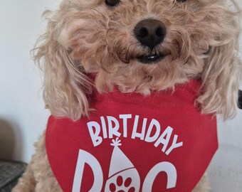 Birthday Dog Bandana