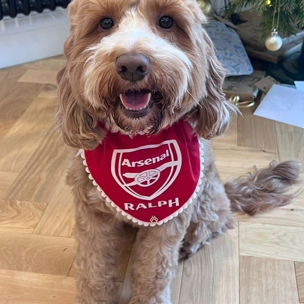 Football Badge Dog Bandanas