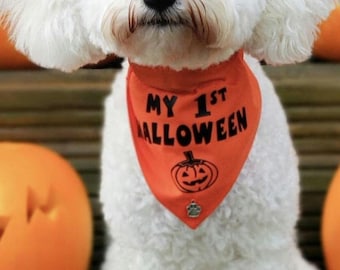 My 1st Halloween  dog bandana
