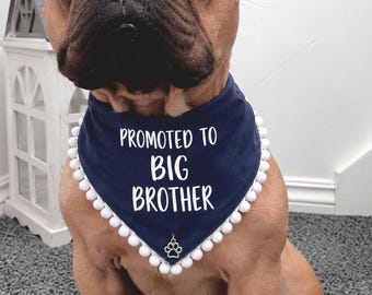 Promoted to Big Brother dog bandana, dog announcements, pregnancy announcements, gender reveal, baby shower.