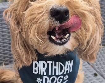 Birthday Dog Bandana