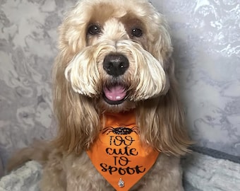 Too cute to spook Halloween  dog bandana