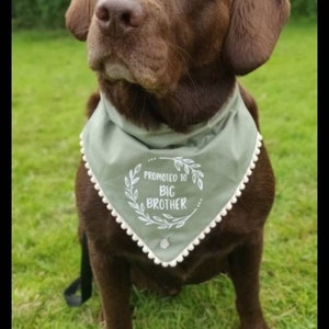 Big brother or big sister dog bandanas image 4