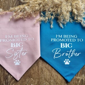 Je suis promu bandana pour chien Grand frère ou grande soeur