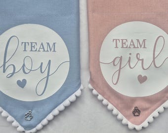 Gender reveal dog bandanas.
